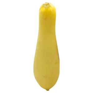 Yellow Squash