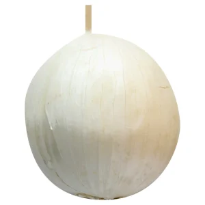 White Onion