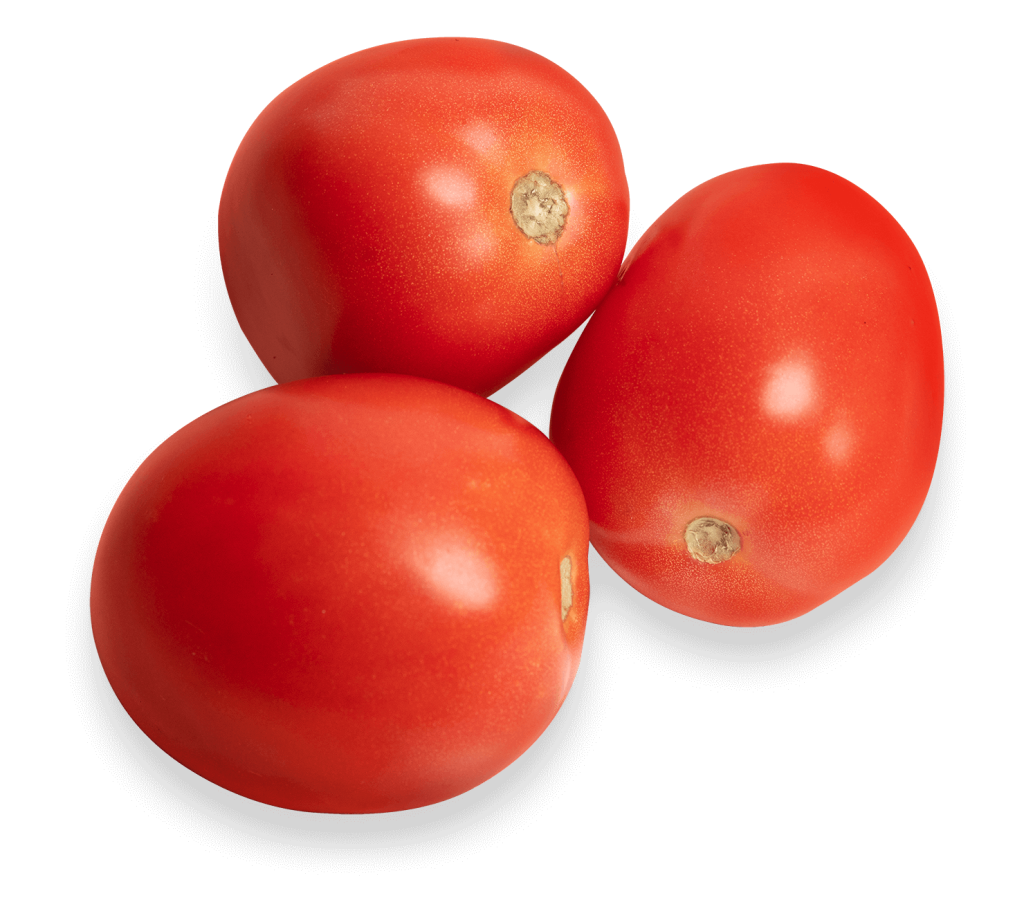Roma Tomato