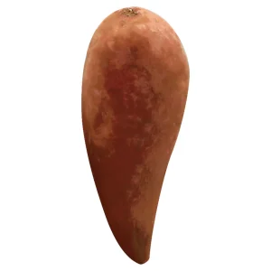 Sweet Potato