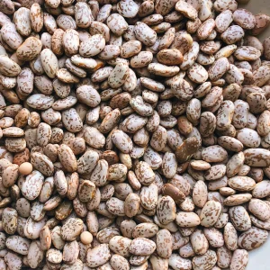 Pinto Beans (Bulk)