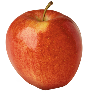 Gala Apple