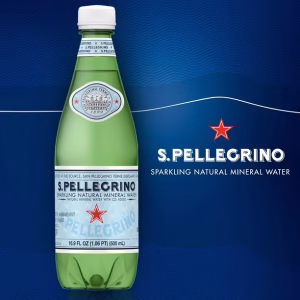 San Pellegrino Sparkling Natural Mineral Water, 16.9 fl oz