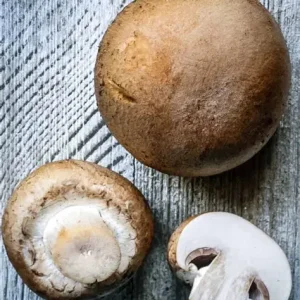 Baby Bella Mushroom