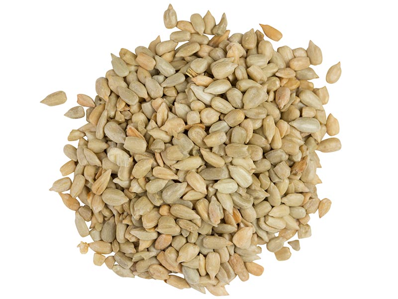 Sunflower Seed