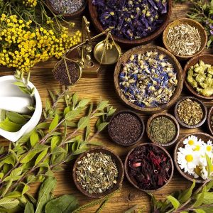 Goddess Trends Wellness Cold and Flu Destroyer Herbal Tea